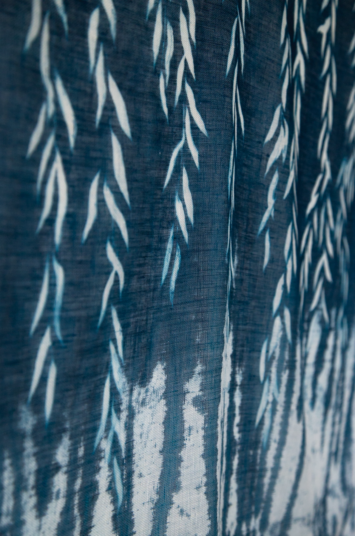 Painted Willow