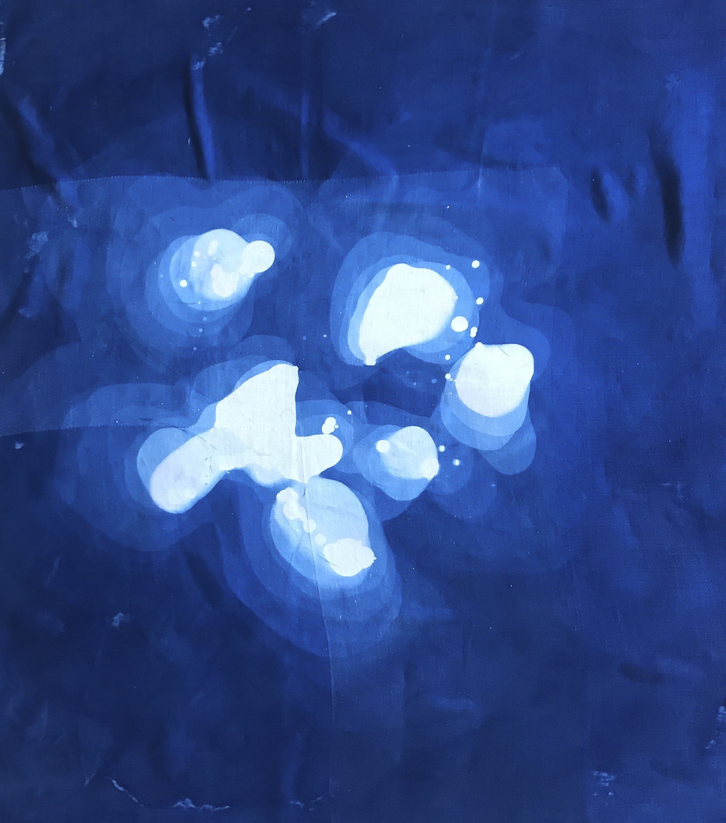 Study on Silk - Bloom II