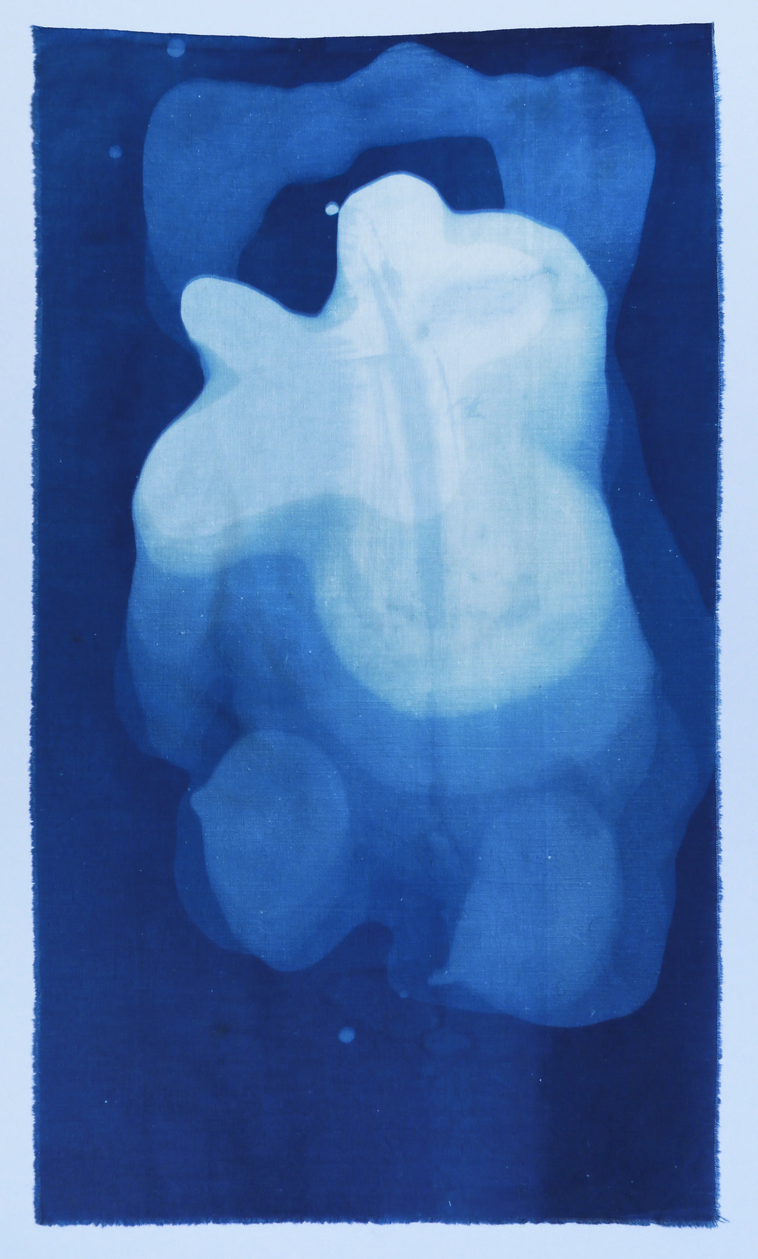 Study on fine cotton II