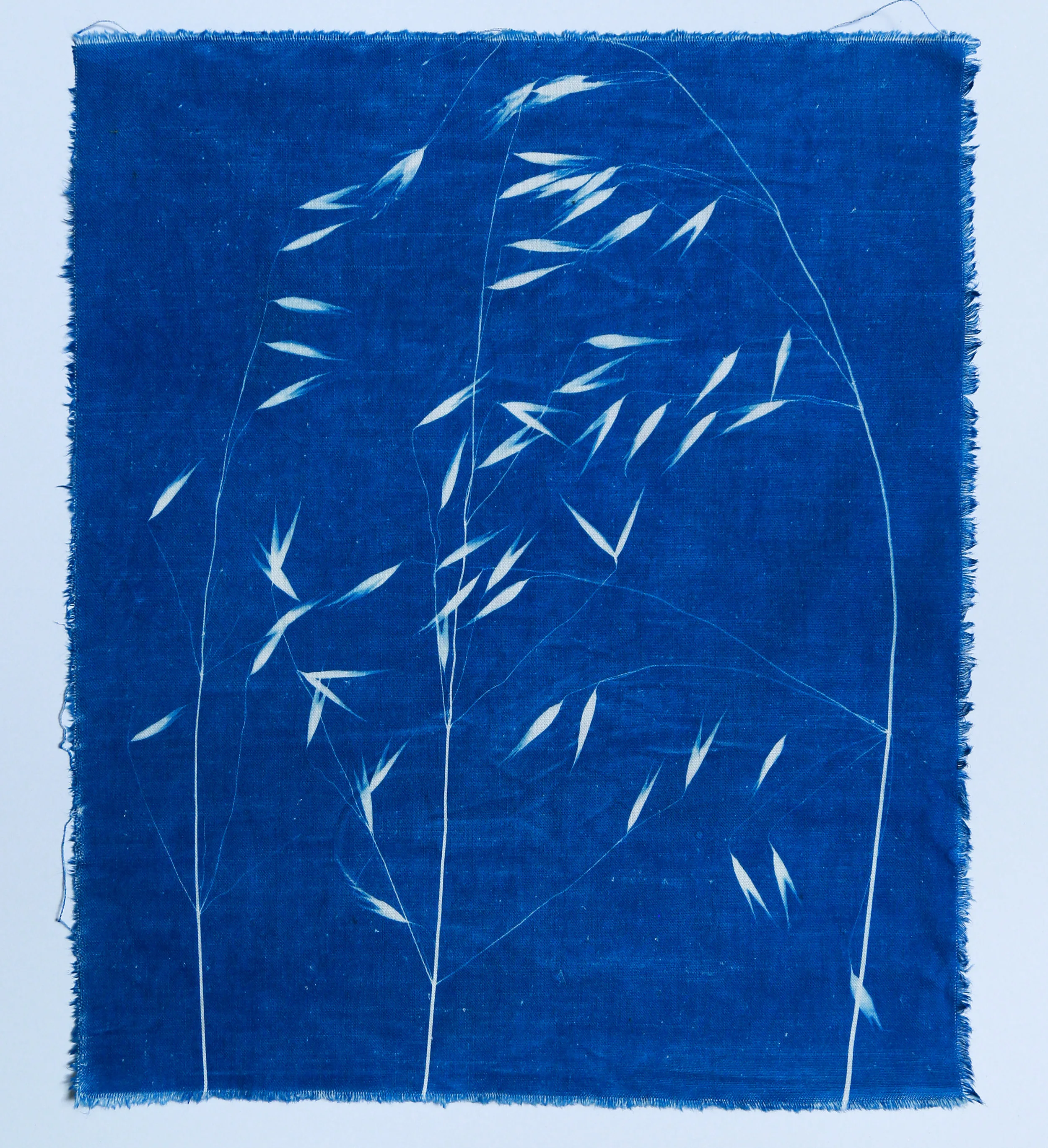 Avoine sauvage miniature on handwoven cotton I