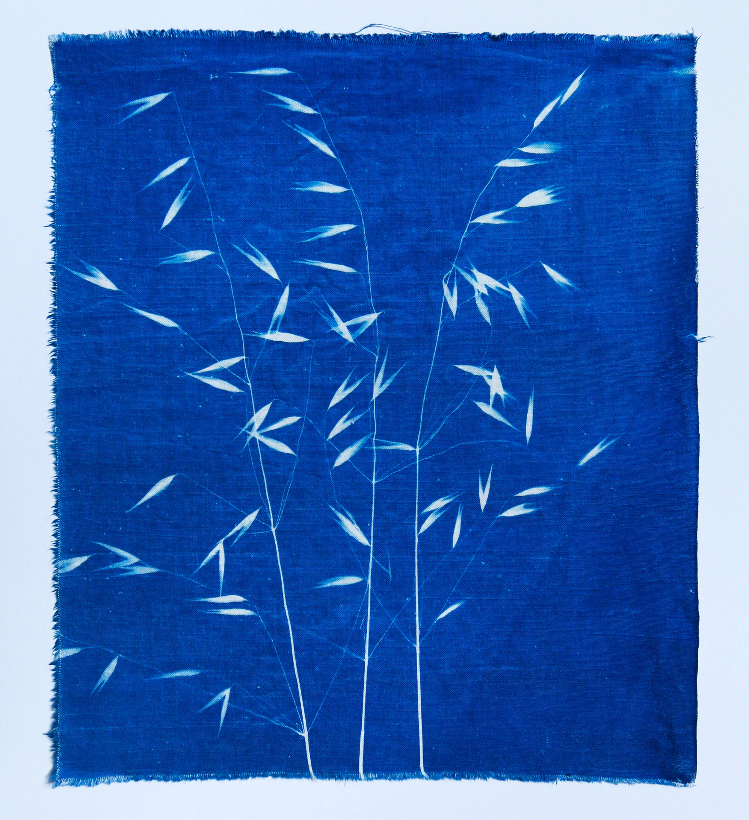 Avoine sauvage miniature on handwoven cotton IV