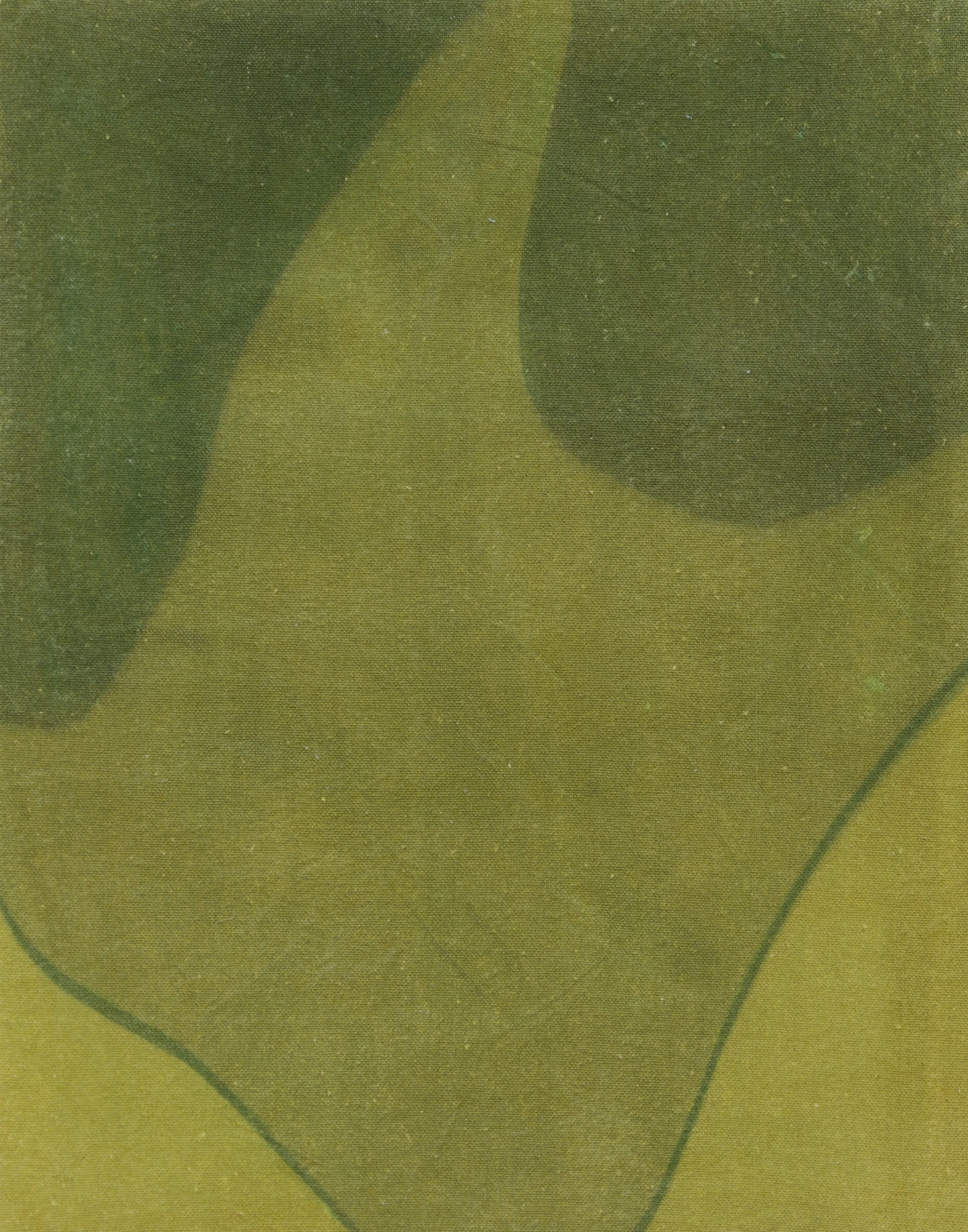 kelly's star in green, 2019, photosensitive dye on canvas stretched on wood frame, 14" x 11"