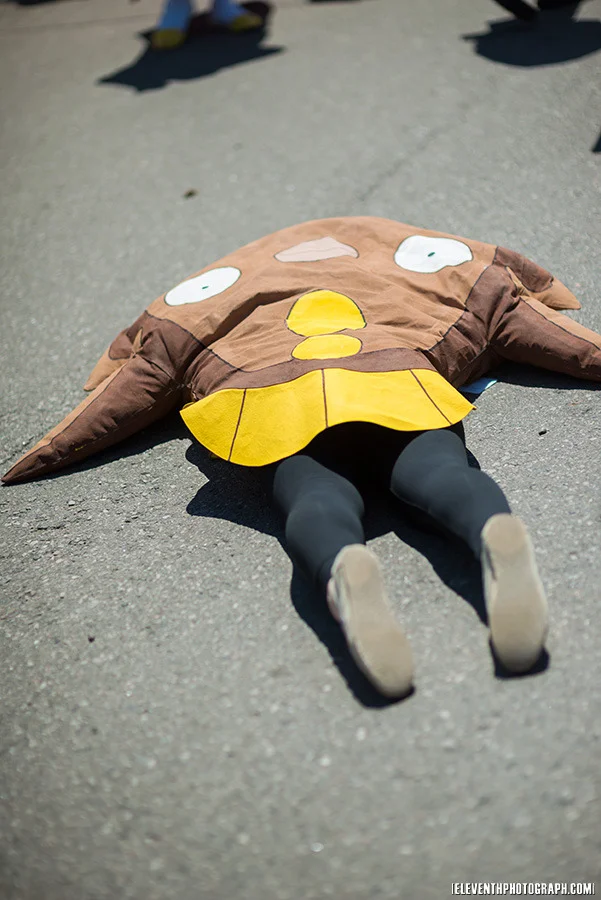 animenorth2014_general_049.jpg