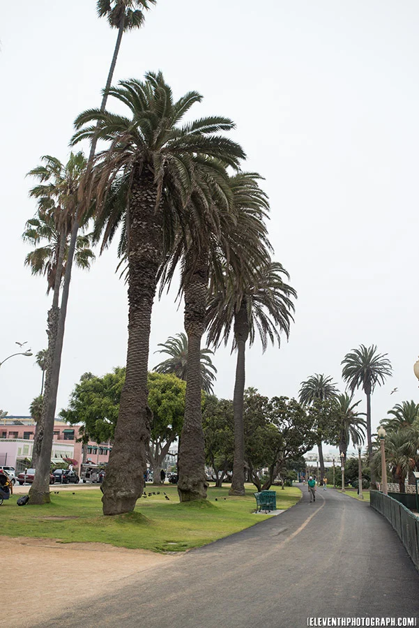 hollywoodvisit2012_18.jpg