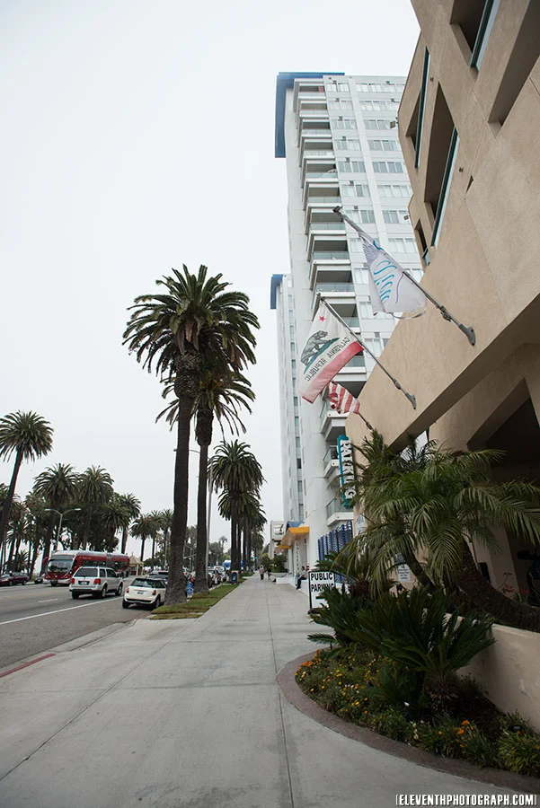 hollywoodvisit2012_15.jpg