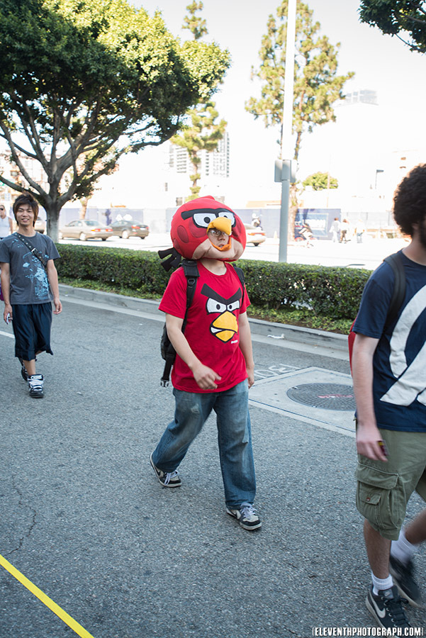 ax2012_008.jpg