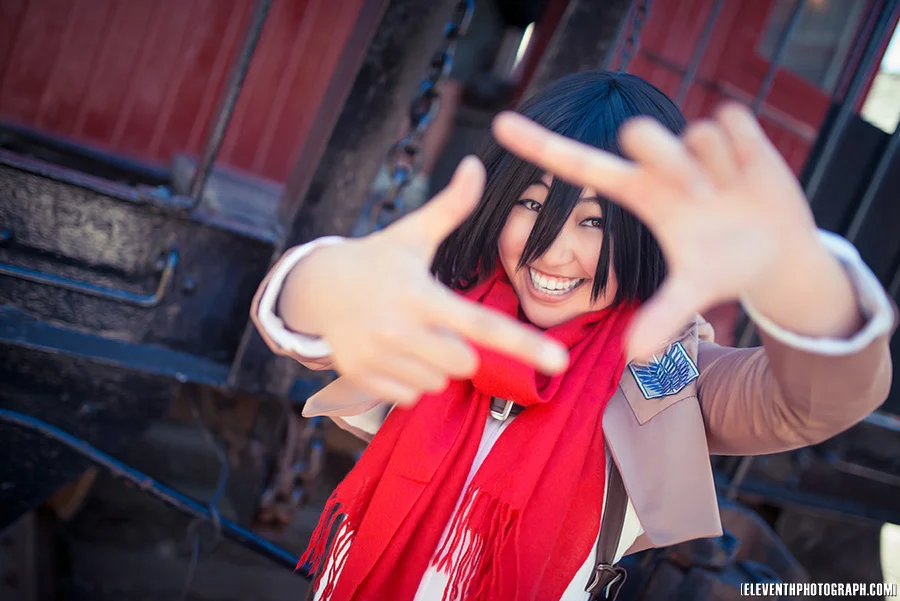 FanEx2013_AoT_SM_11.jpg