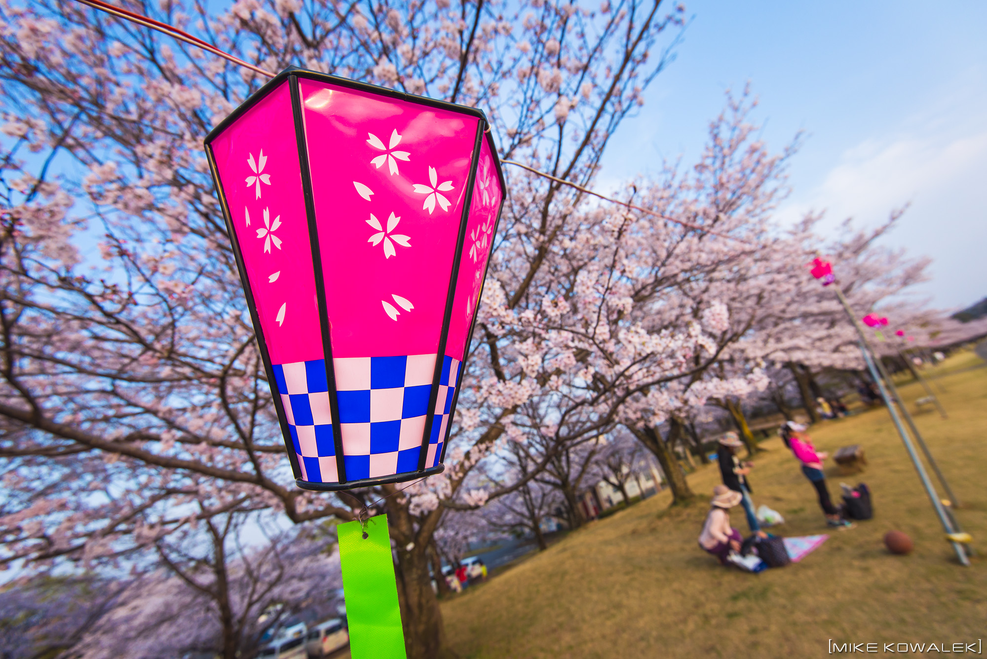 Sakura_Ujiie_2016_05.jpg