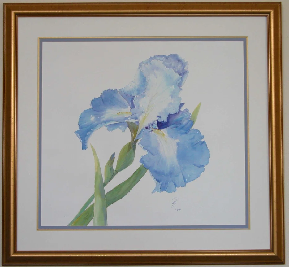 Iris Blue