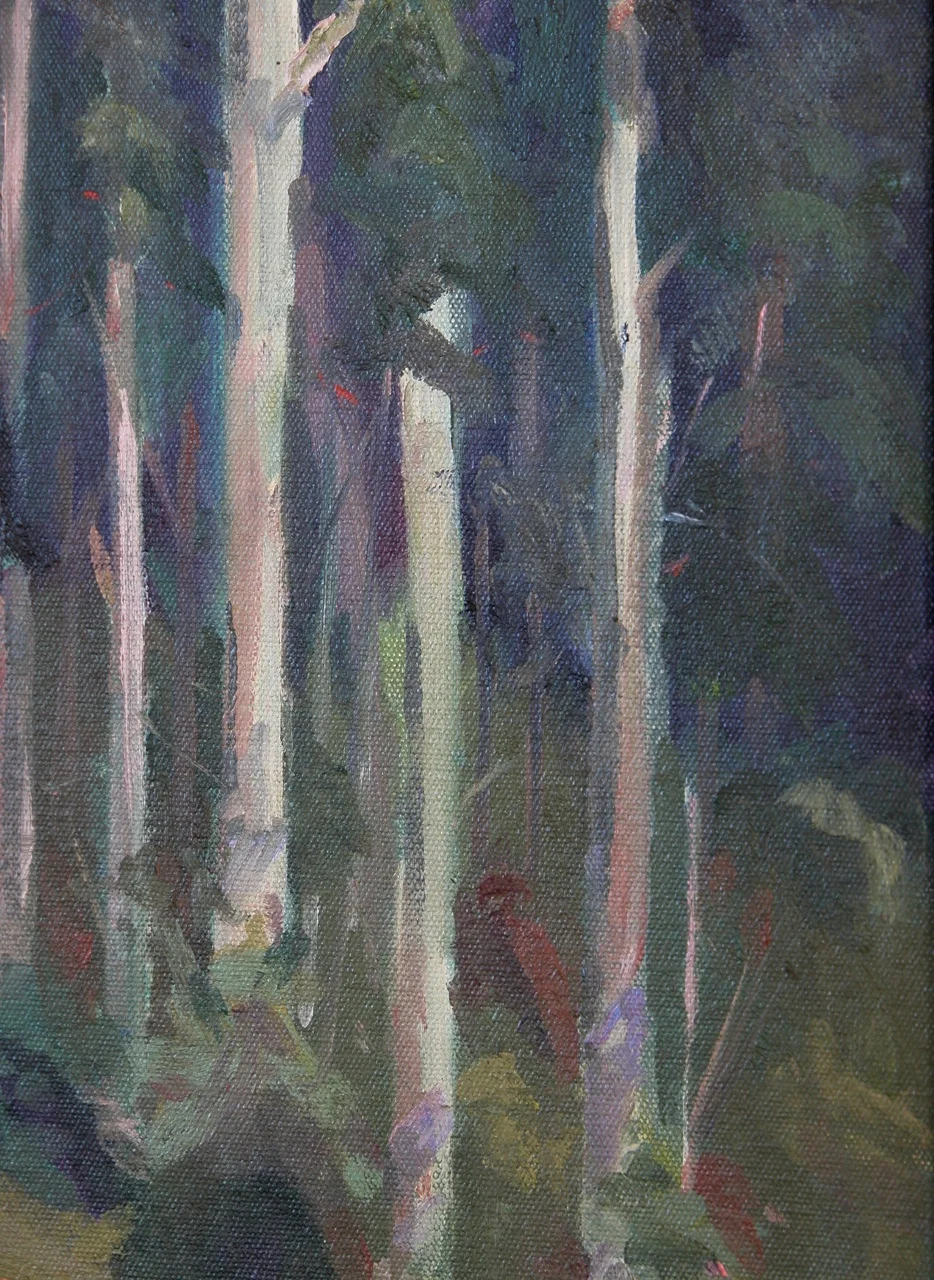 9 x 12