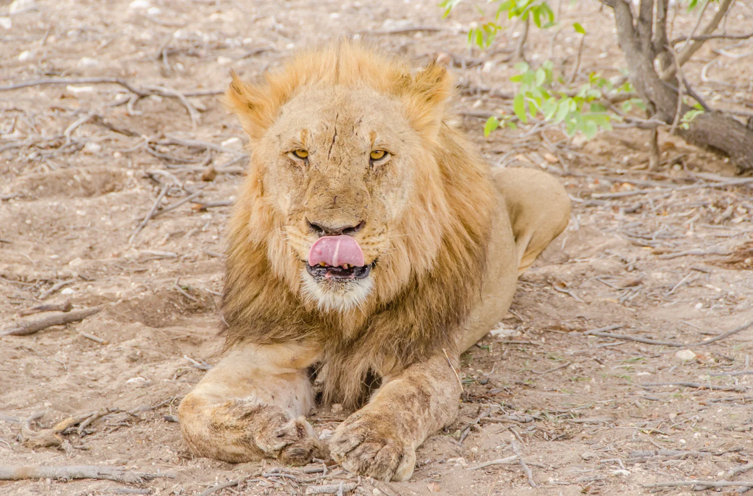 Namibia