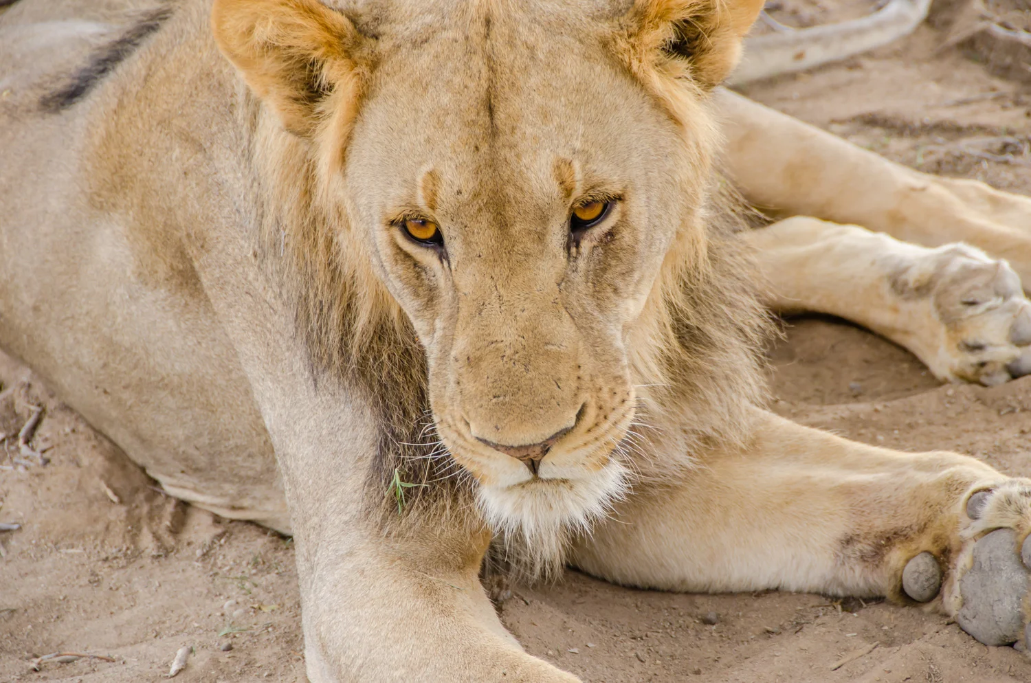 Namibia
