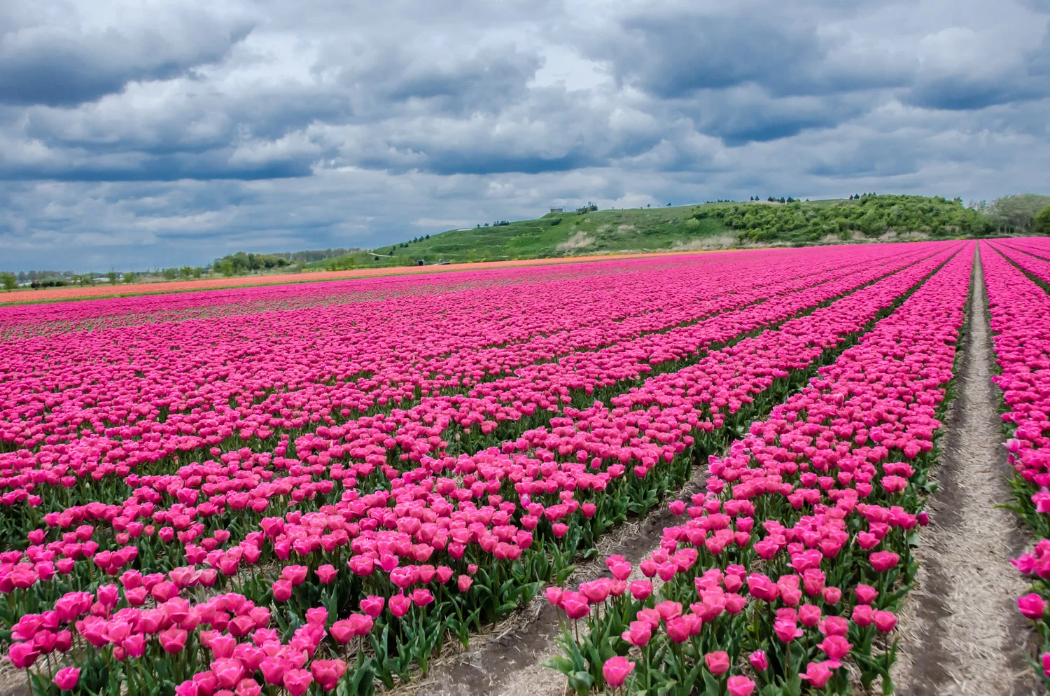 Holland