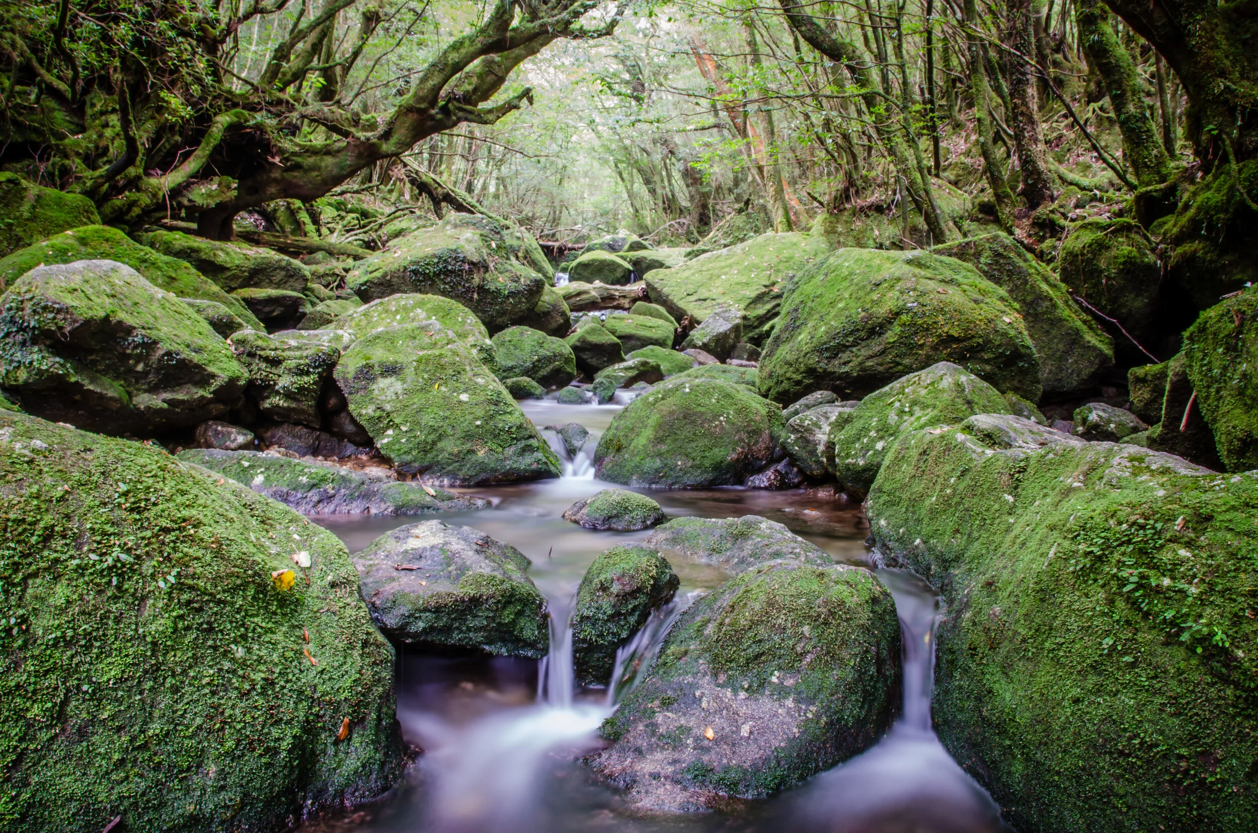 Life Living Life — Michael Sloyer Photography