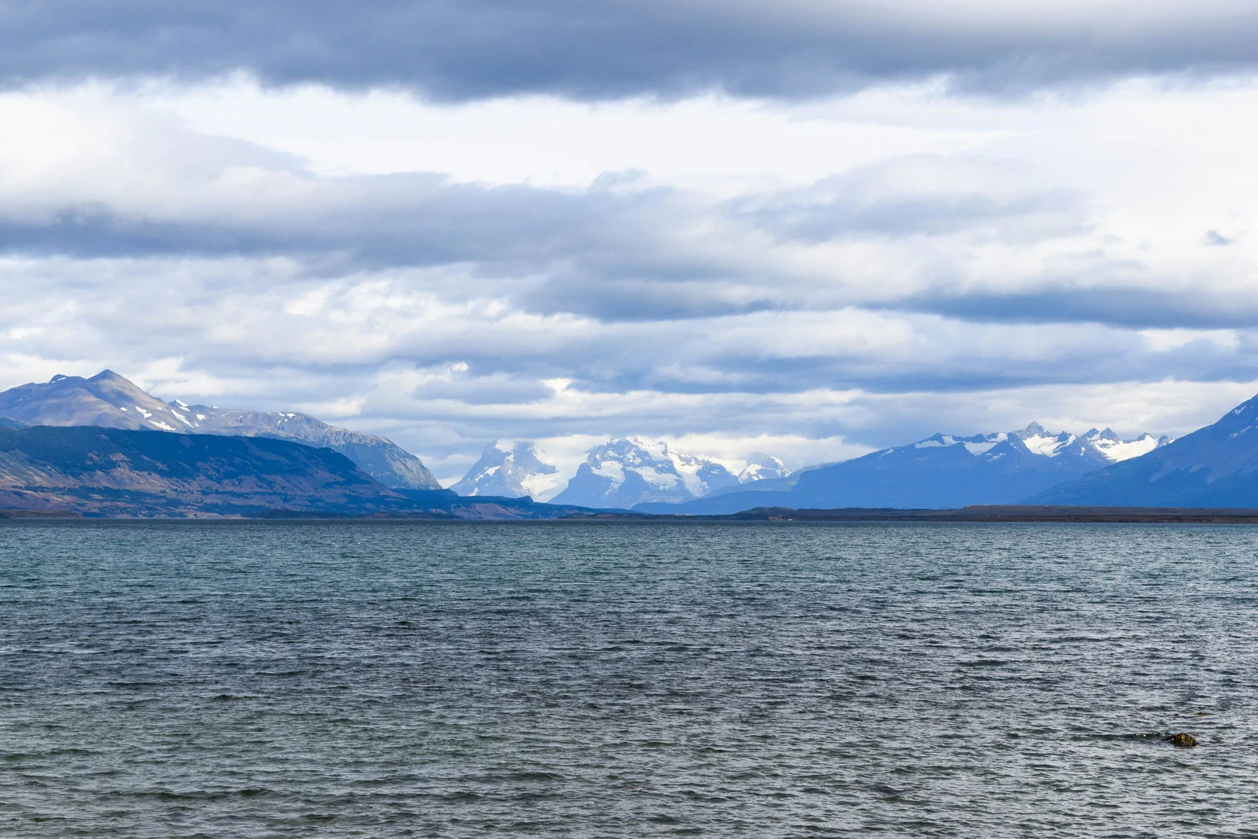 DSC_0323.jpg