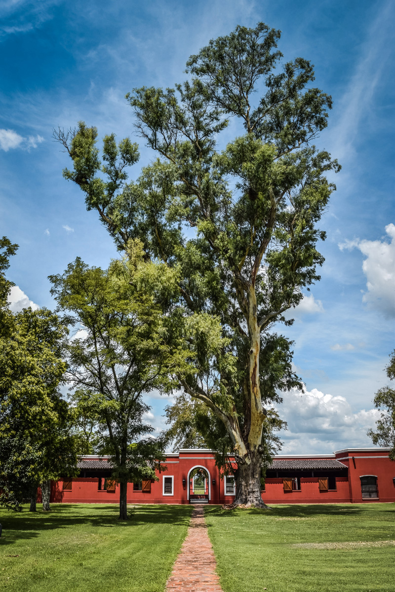 La Bamba de Areco, Argentina