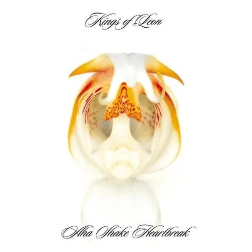 Kings of Leon: Ah Shake Heartbreak I gotta get this out there, I could be blindfolded and choose any of their records as my favorite. For me this album sits in the transition between mean cocky rock'n'roll and more modern polished rock. It's a great blend of old and new.