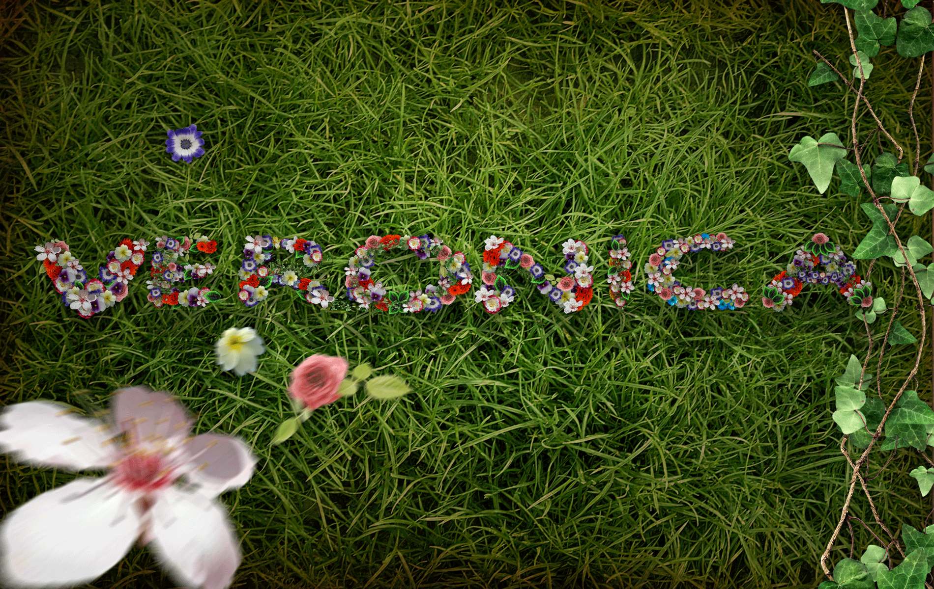 7.25.10 - Veronica in flowers.jpg
