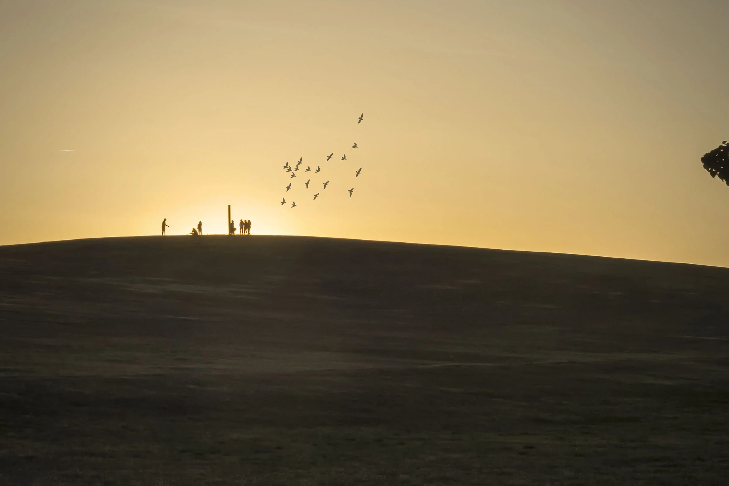 2014_06_01 - Sunset walk at Trashmore-4.jpg
