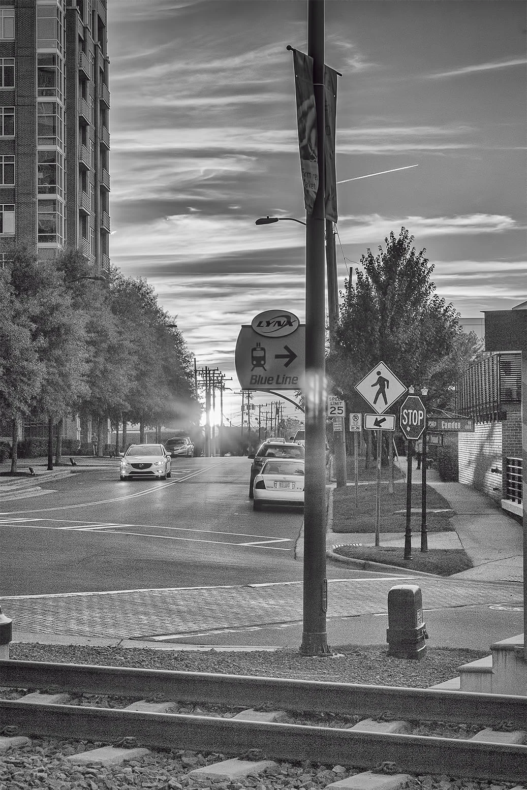 IMG_0101 as Smart Object-1.jpg