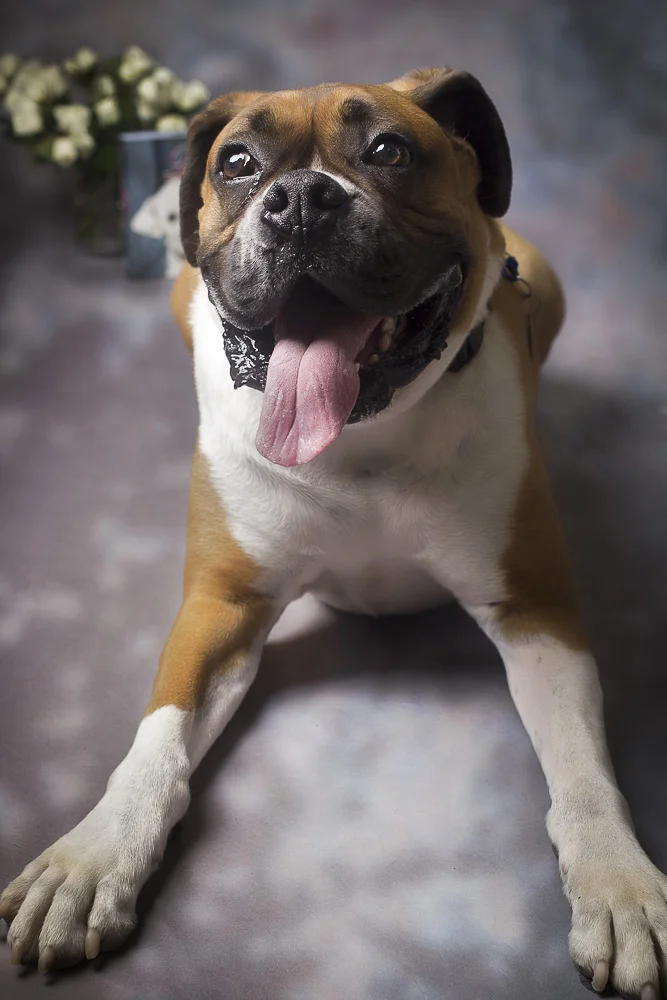 3. Connie-Dexter&Bonito-0228.jpg
