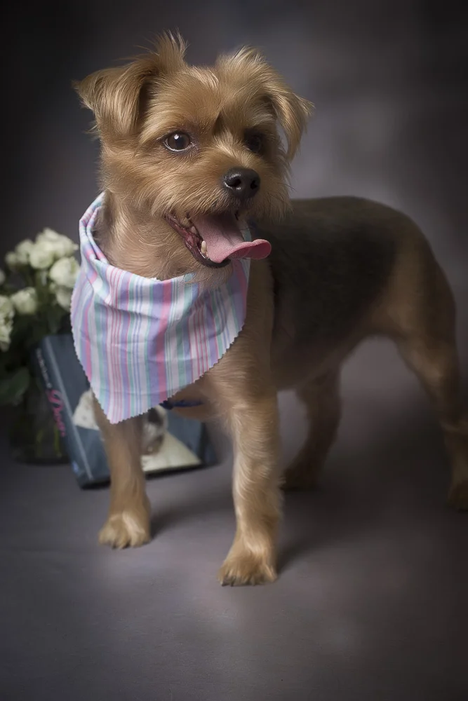 5. Hope-Dudley&Sophie-0534.jpg