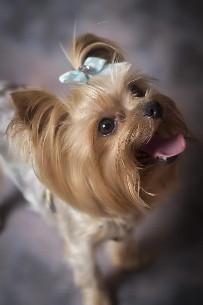 5. Hope-Dudley&Sophie-0662.jpg