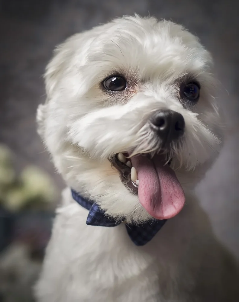 6. Mindy-Tucker-0729[edited].jpg
