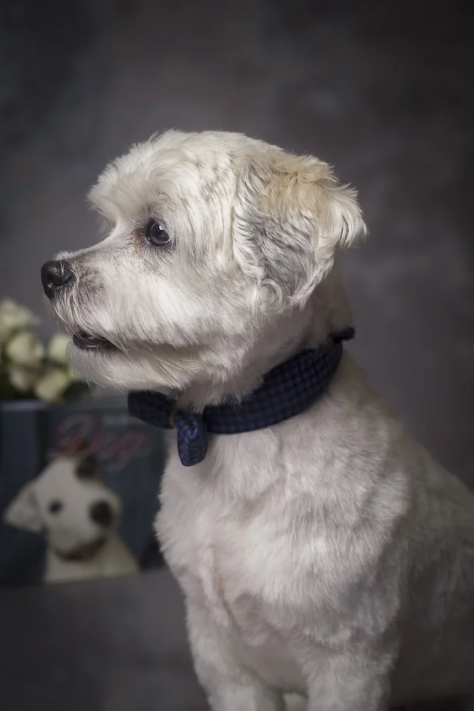 6. Mindy-Tucker-0831[edited].jpg