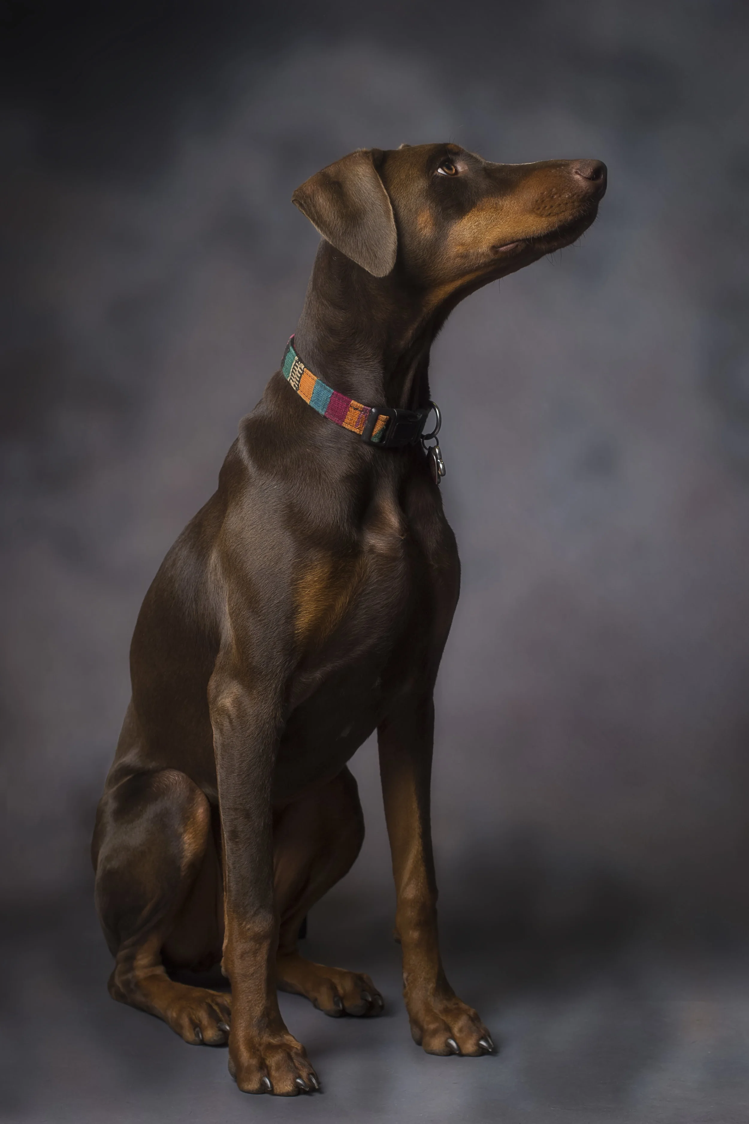 IMG_0045 as Smart Object-1.jpg