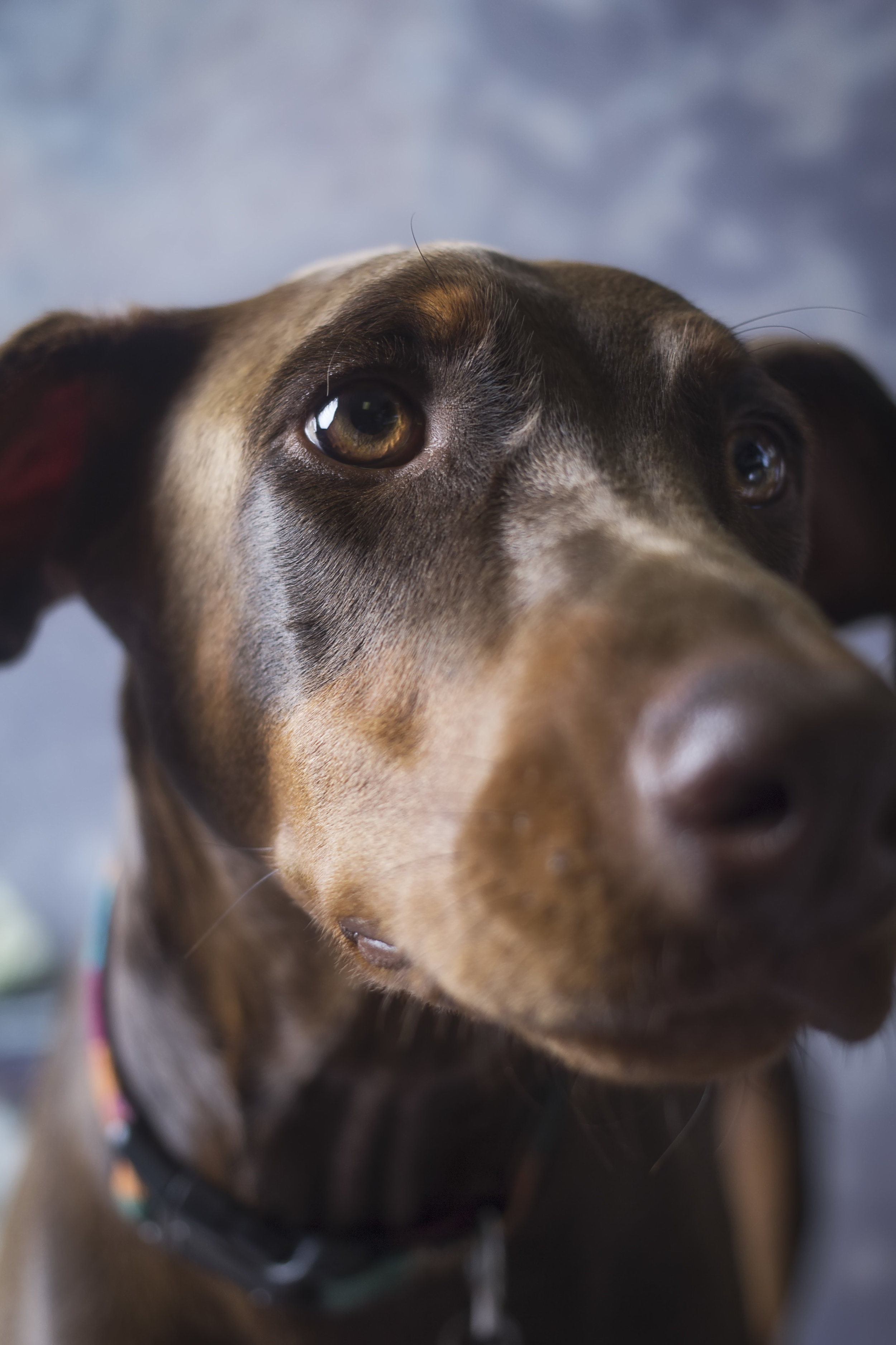 IMG_0056 as Smart Object-1.jpg