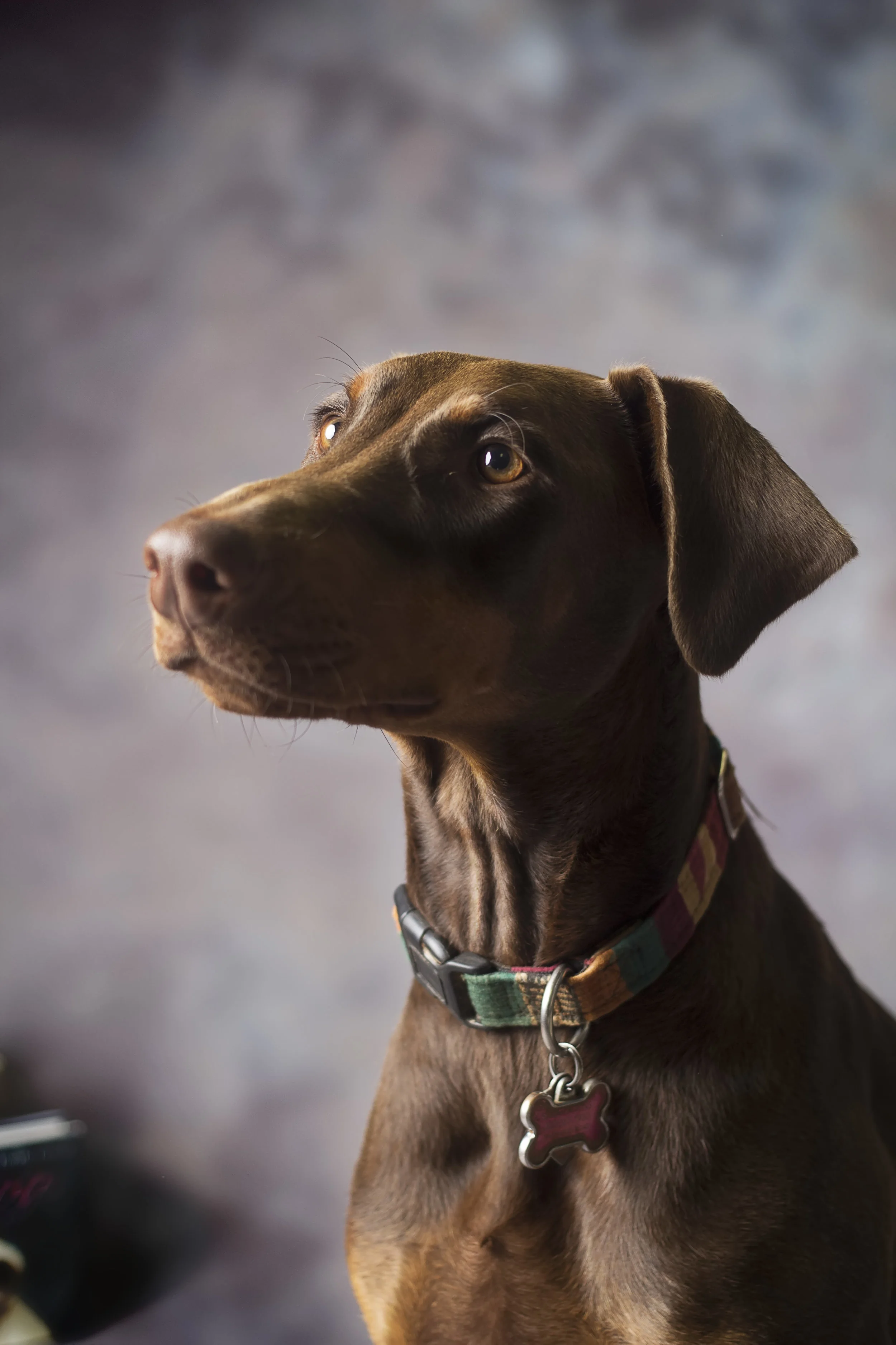 IMG_0061 as Smart Object-1.jpg