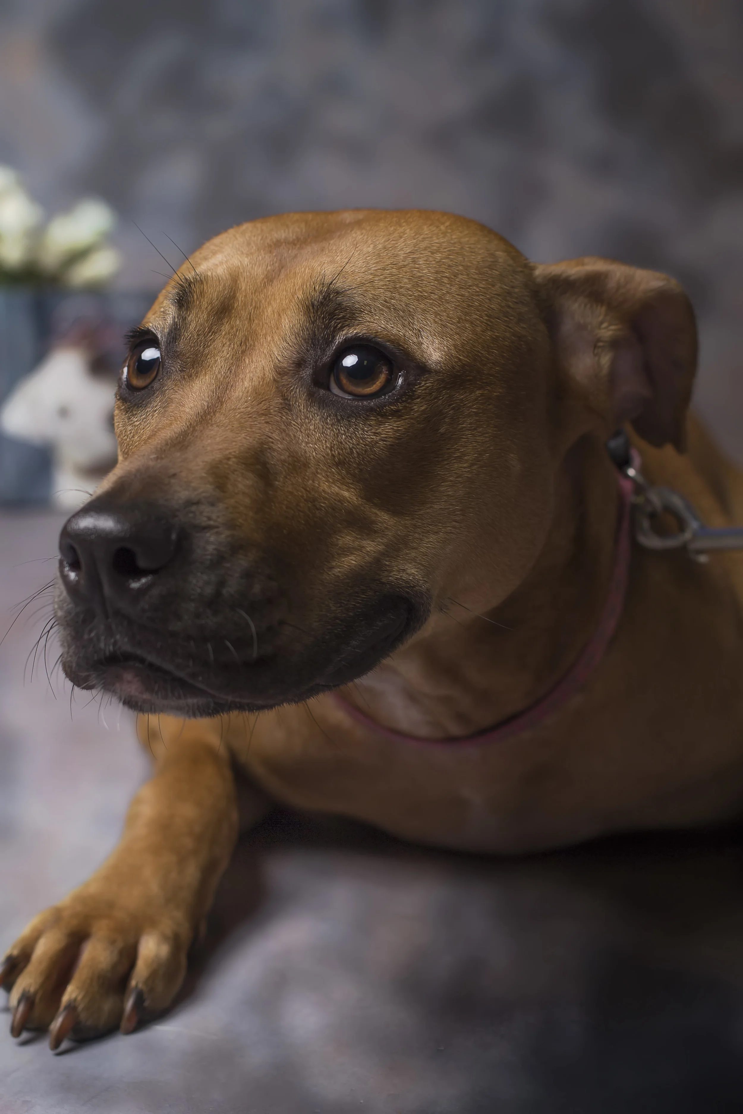 IMG_1104 as Smart Object-1.jpg