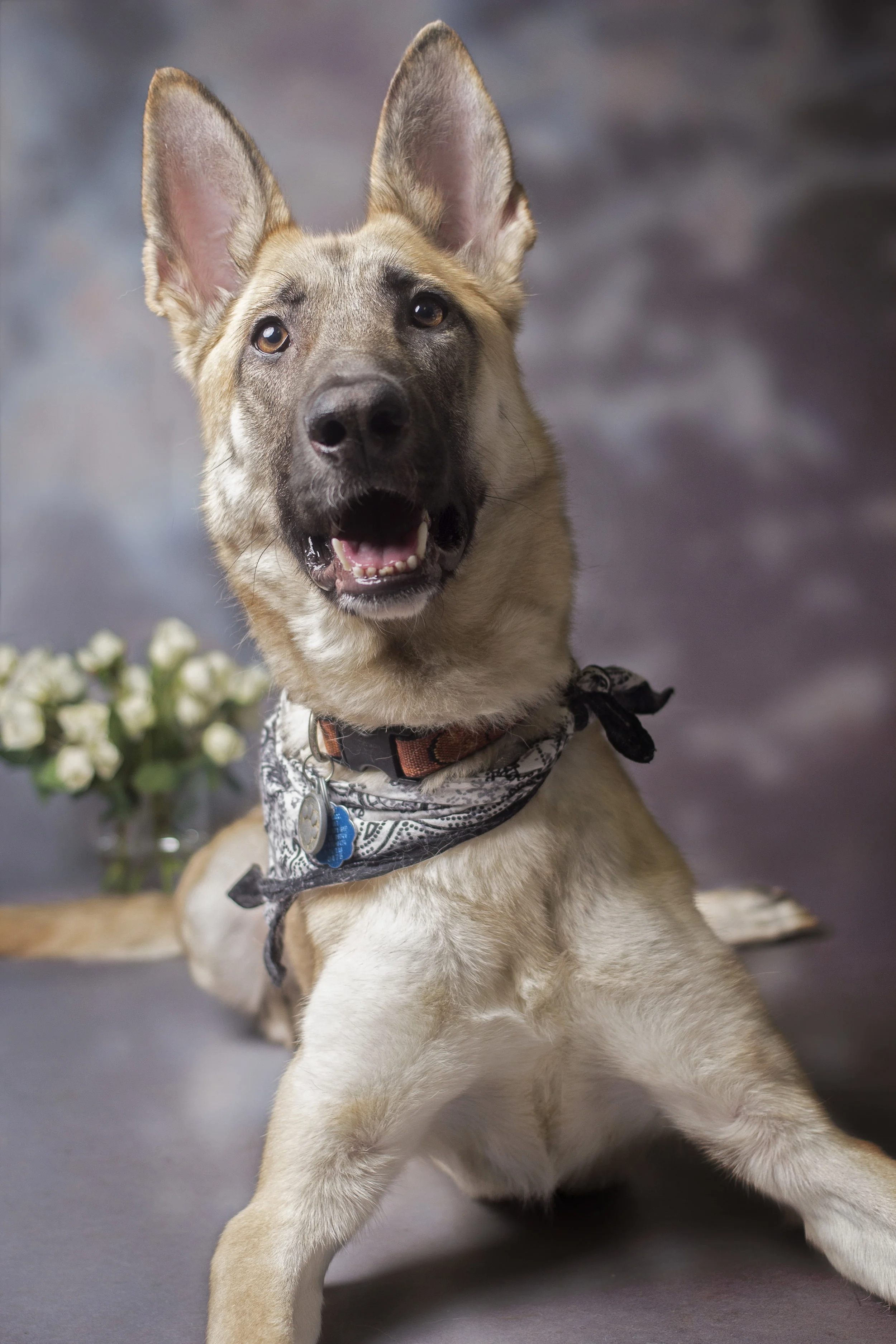 IMG_0103 as Smart Object-1.jpg