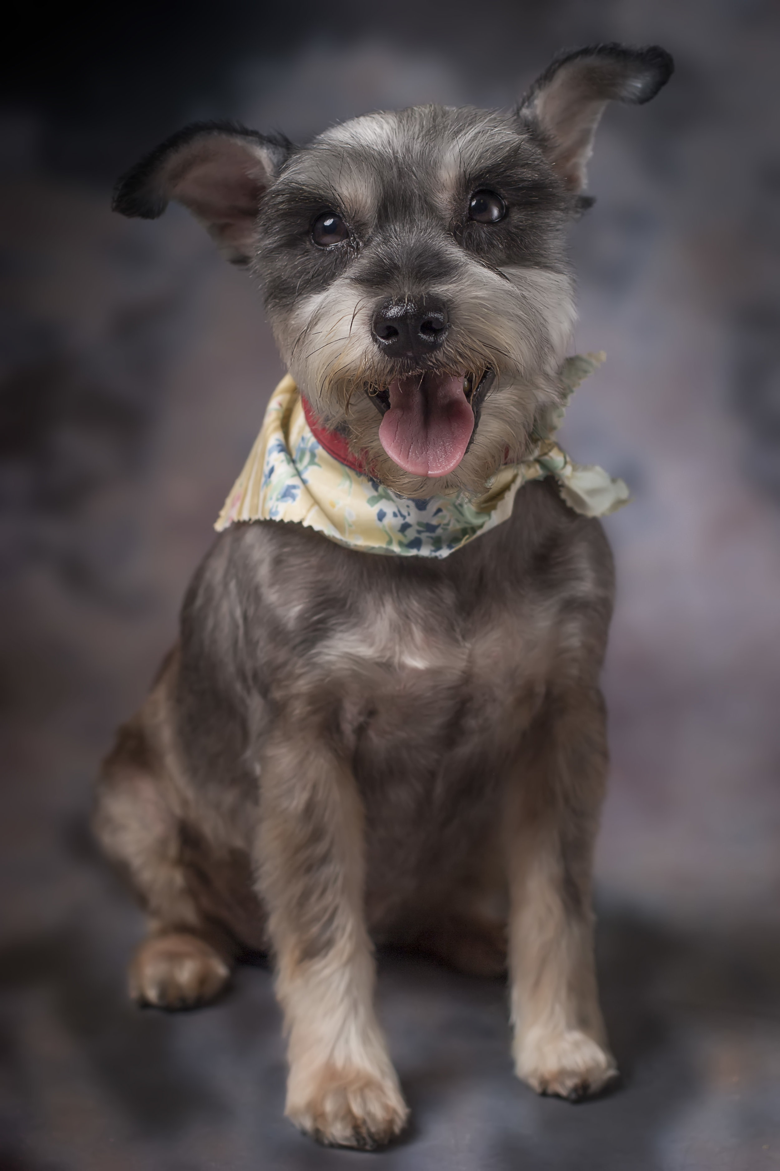 IMG_1131 as Smart Object-1.jpg