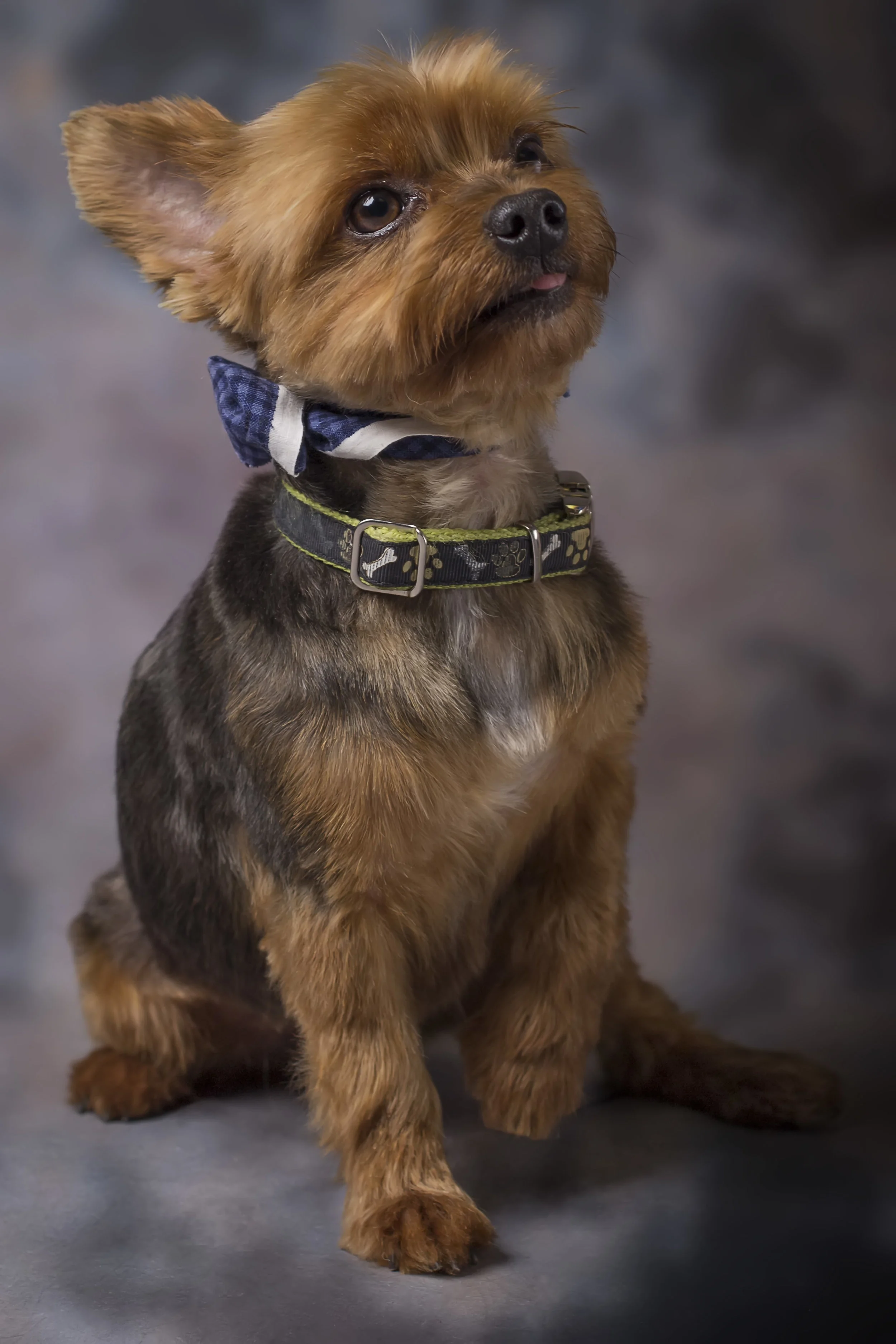 IMG_1147 as Smart Object-1.jpg