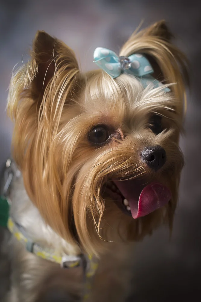 5. Hope-Dudley&Sophie-0489.jpg
