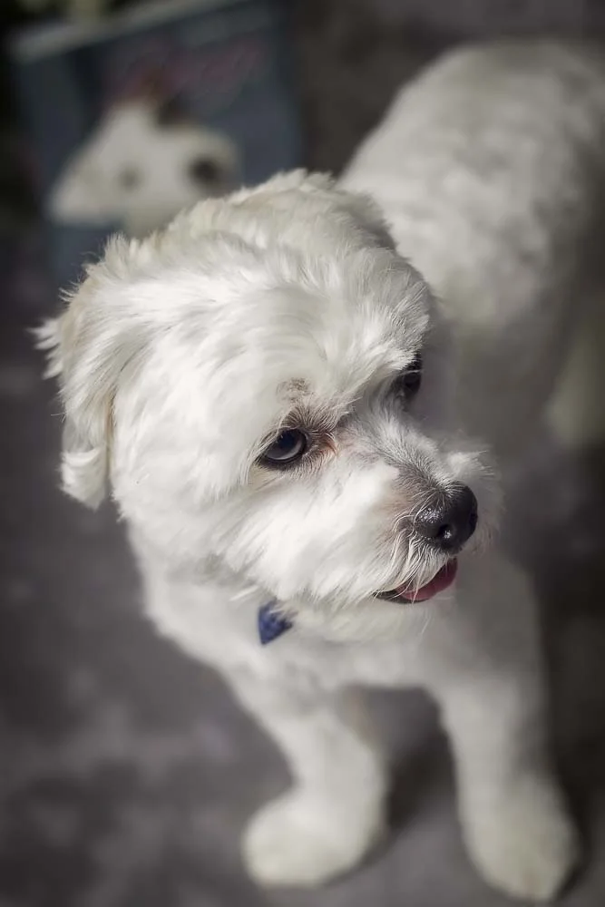 6. Mindy-Tucker-0720[edited].jpg
