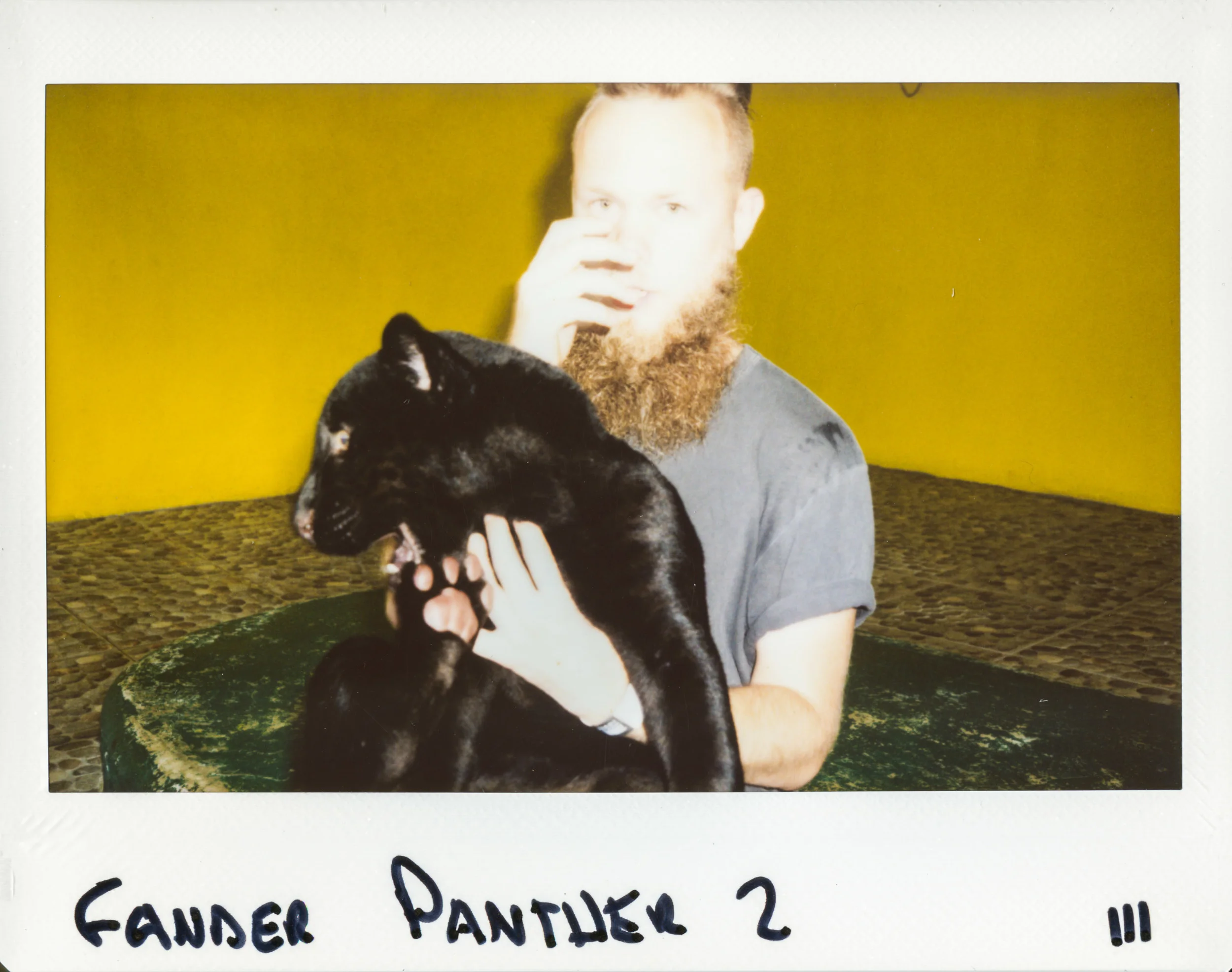 4 polaroid3-3.jpg