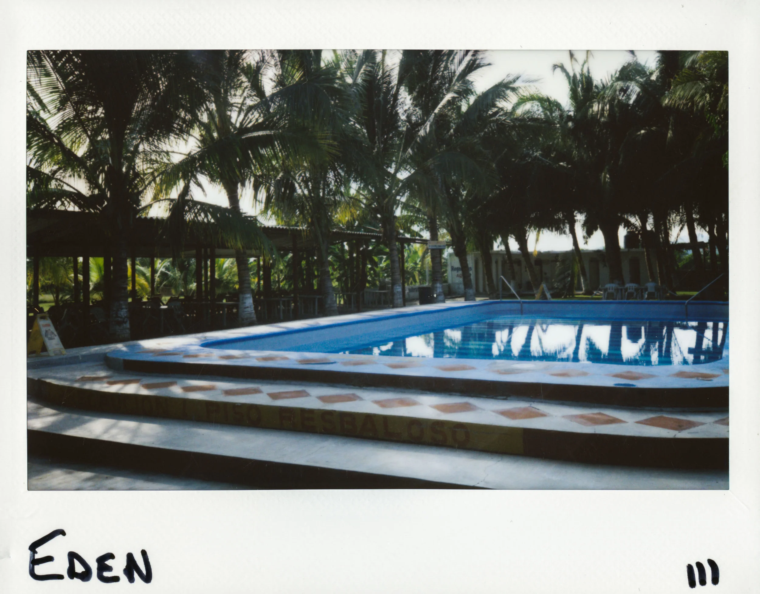 4 polaroid5.jpg