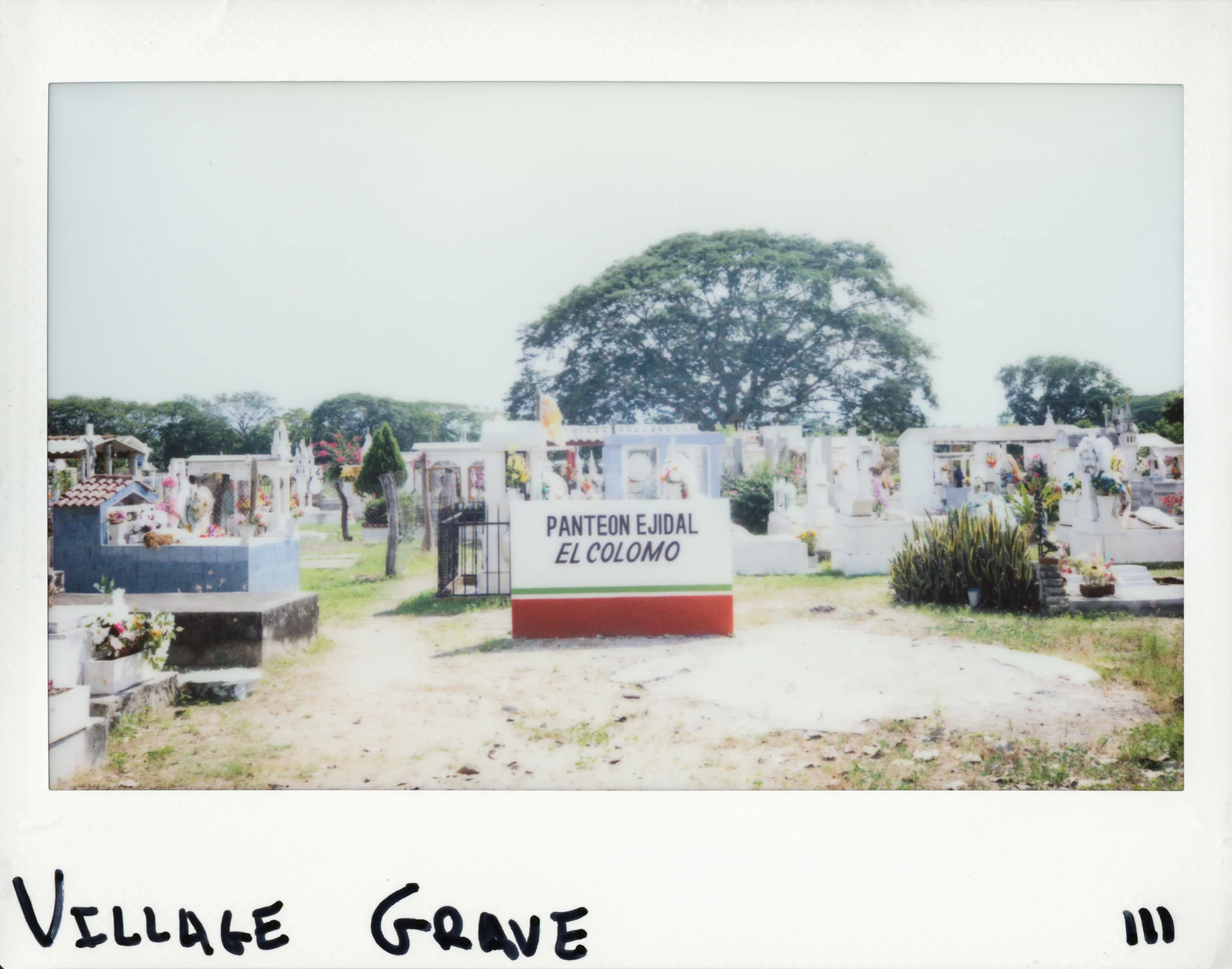 4 polaroid10-4.jpg