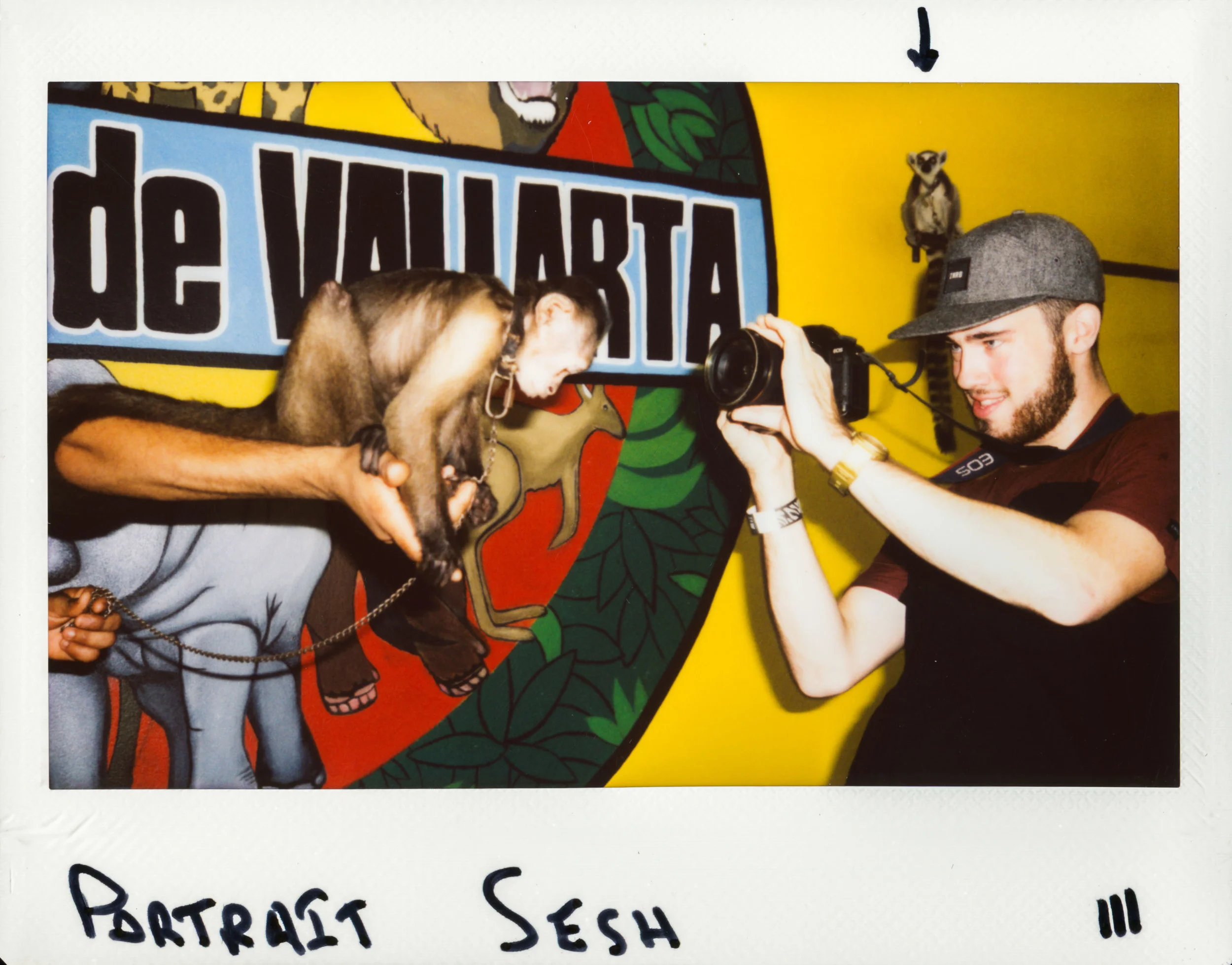 4 polaroid18-3.jpg