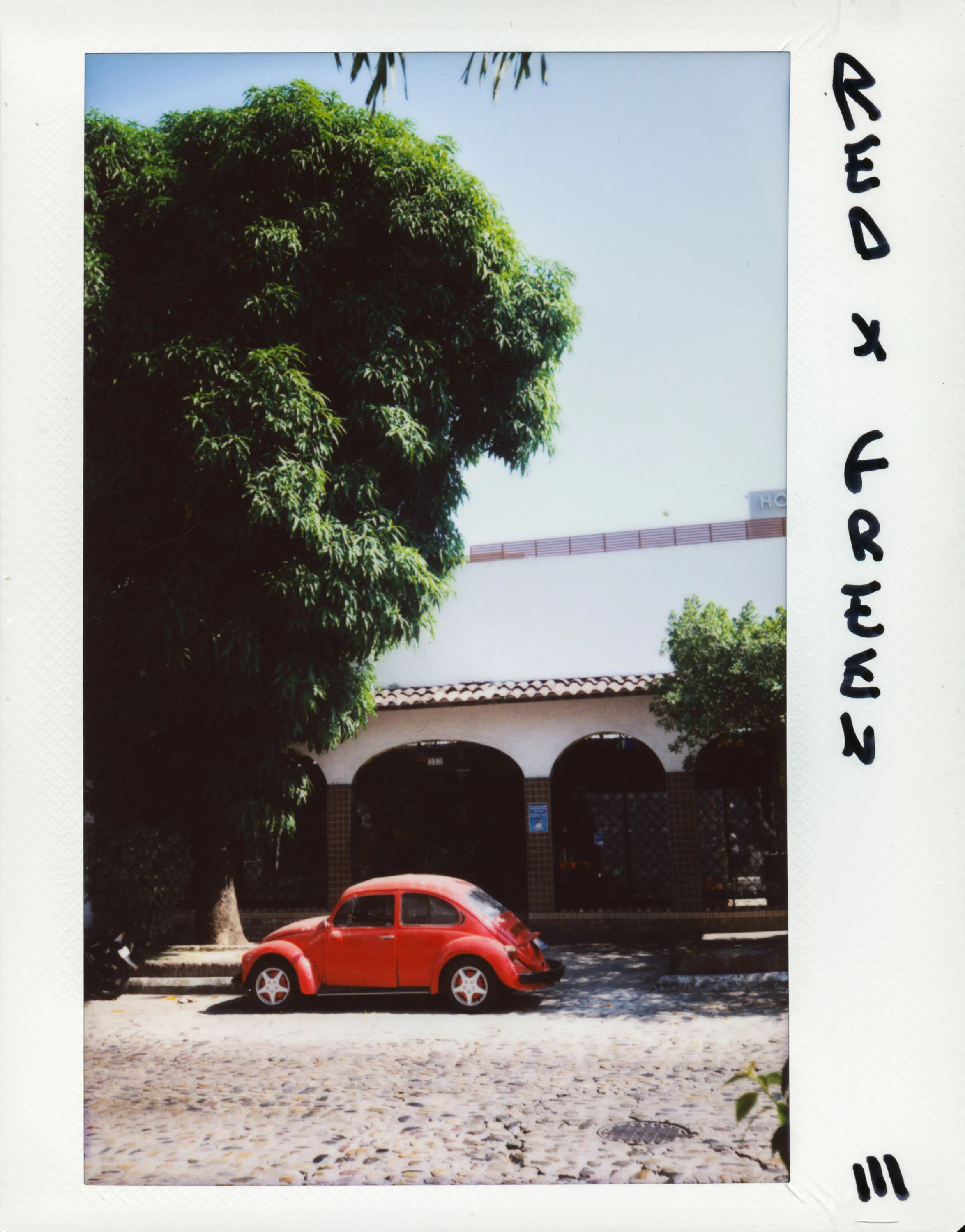4 polaroid18-4.jpg