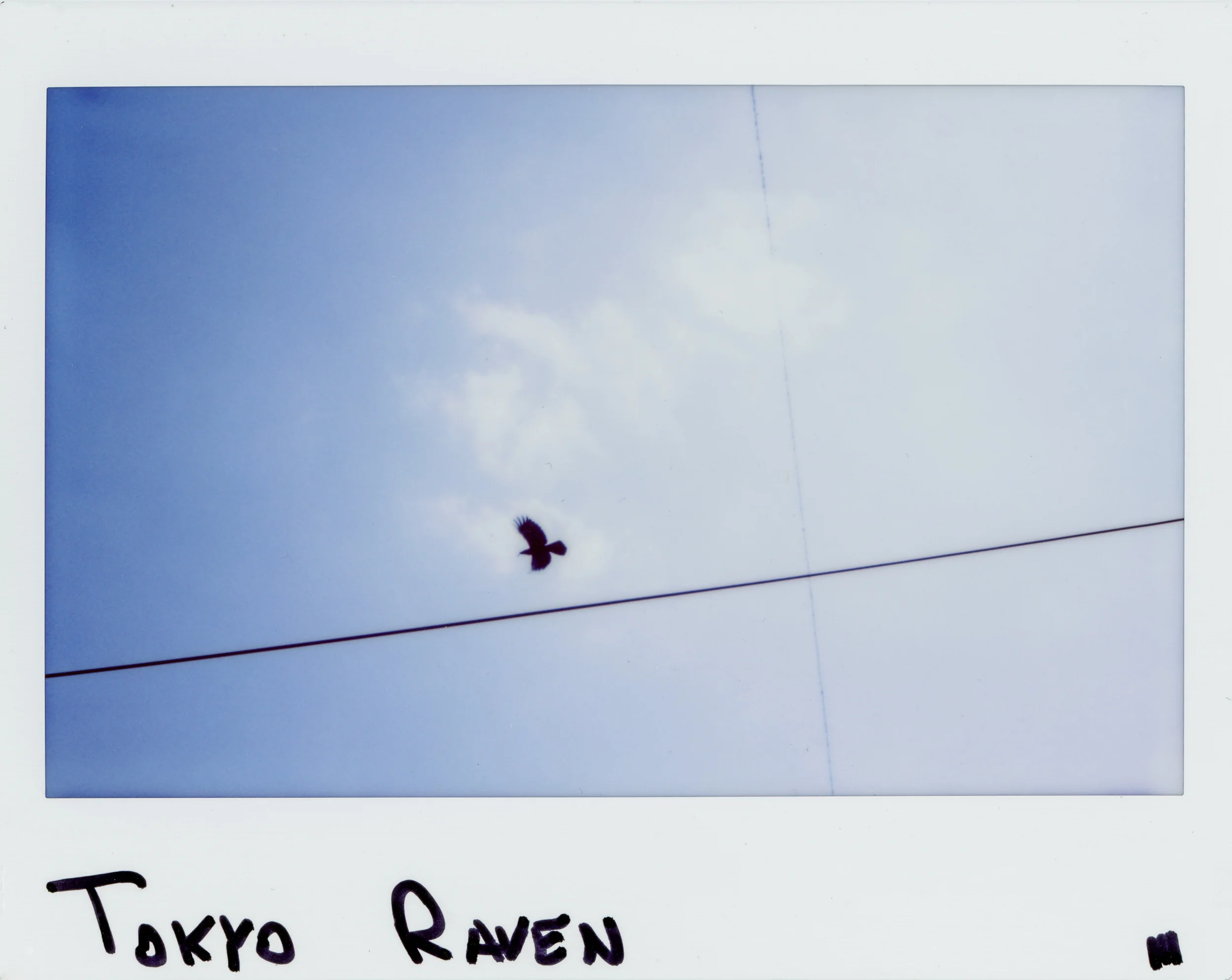 ASIA_ROID-12-2.jpg