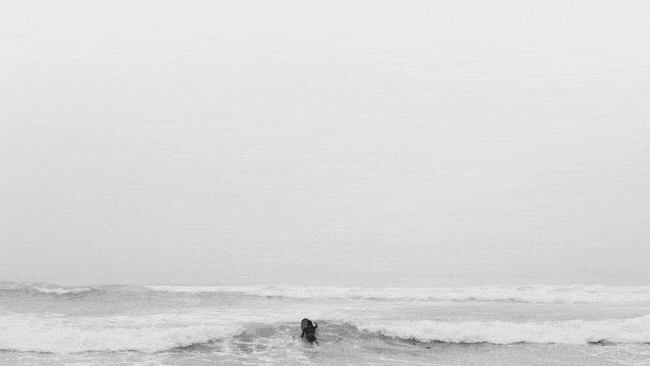 015 over wave.gif