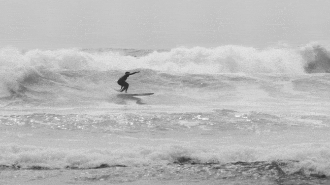 16 t wave shred.gif