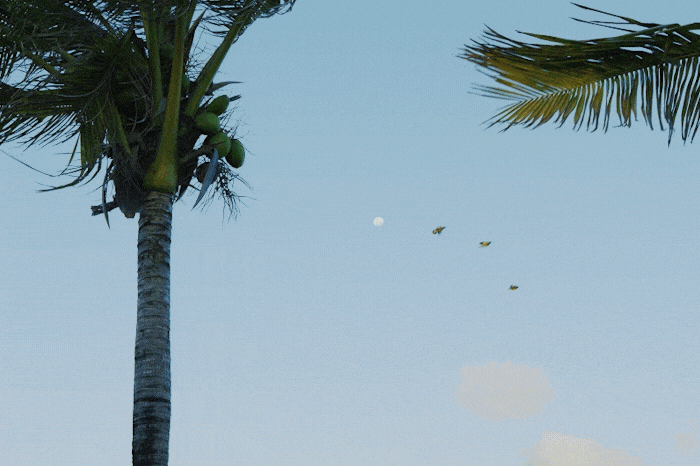 02.gif