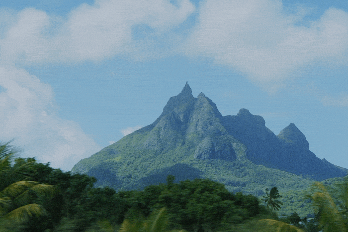 03.gif