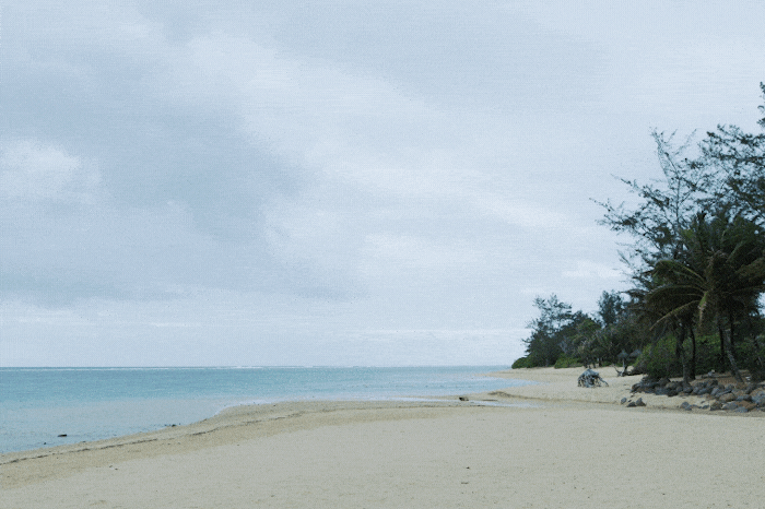06.gif