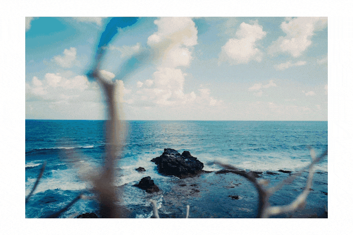 08.gif